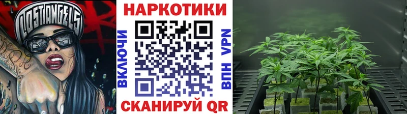 Как найти наркотики Гаврилов-Ям ГАШИШ Метадон Alpha PVP ТГК КОКАИН Конопля МЕФ