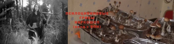 первитин Белокуриха