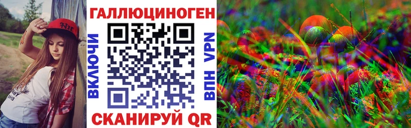 купить наркоту  Гаврилов-Ям  блэк спрут маркетплейс  Псилоцибиновые грибы Magic Shrooms 