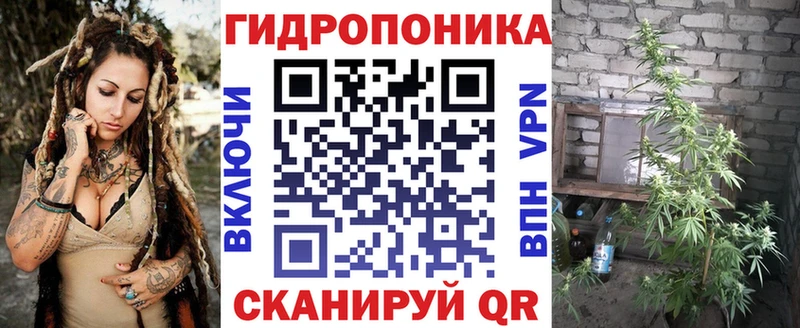 Бошки марихуана OG Kush  Гаврилов-Ям 